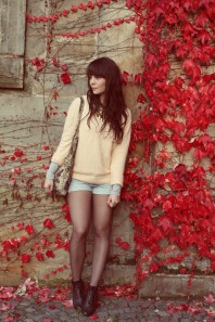 Strickpullover