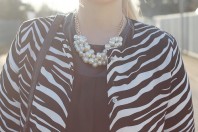 zebra (Foto: fashion passion love) zebra