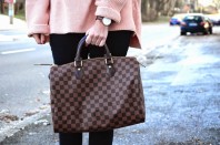 Louis Vuitton Speedy