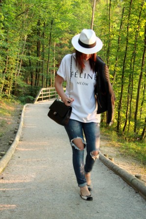 The Summer Diary